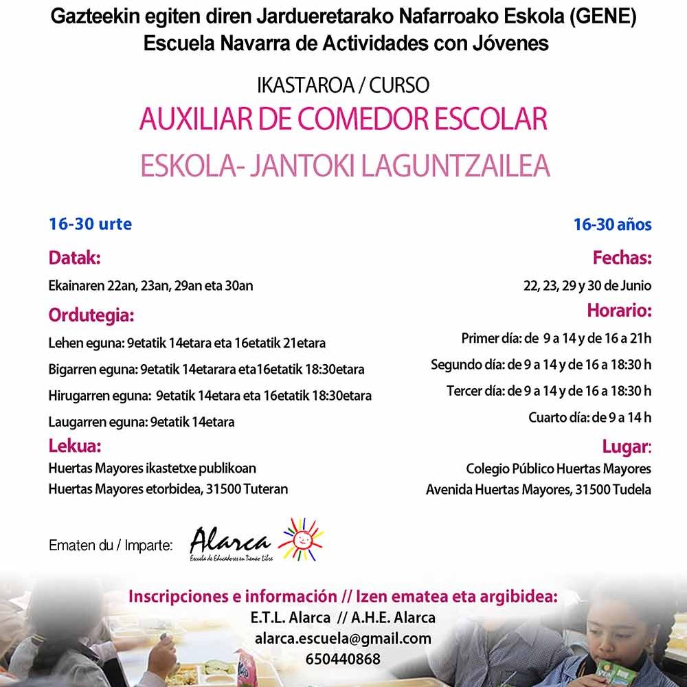 cartel curso auxiliar de comedor Tudela